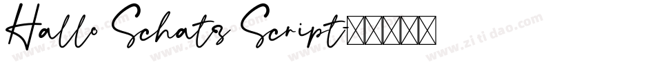 Hallo Schatz Script字体转换
